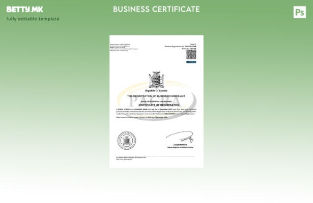 модерен стил Замбија сертификат за регистрација на деловно име Шаблон за Word и 